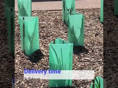 حارس شجرة بلاستيك