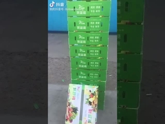 صندوق الفواكه والخضروات