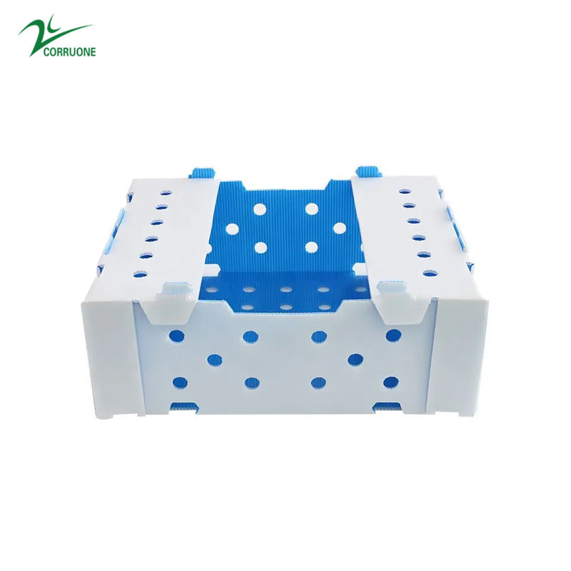 1.5mm-30mm PP صناديق تغليف بلاستيكية مموجة أبيض أخضر أزرق