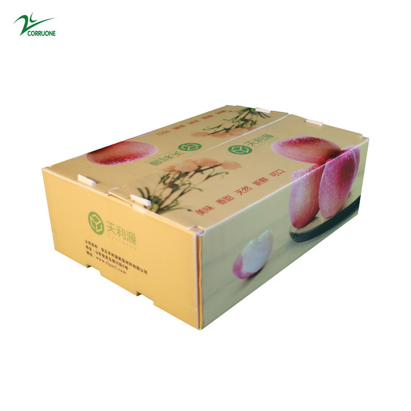 Twinwall PP صندوق مموج الغذاء الصف Corflute الحاويات للفواكه والخضروات