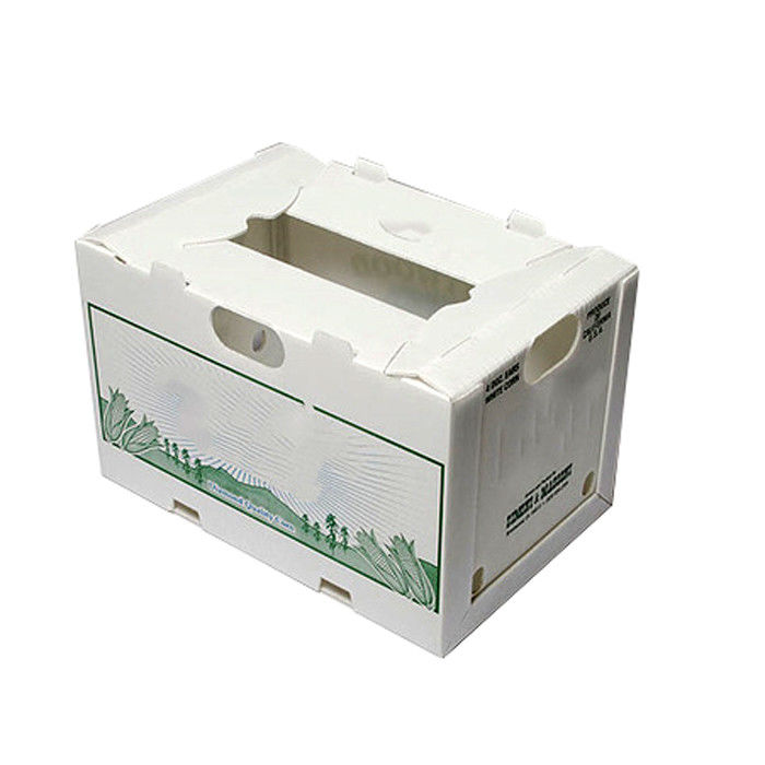 3.5mm الذرة المموج البلاستيك تتحرك صناديق مات التصفيح الطباعة