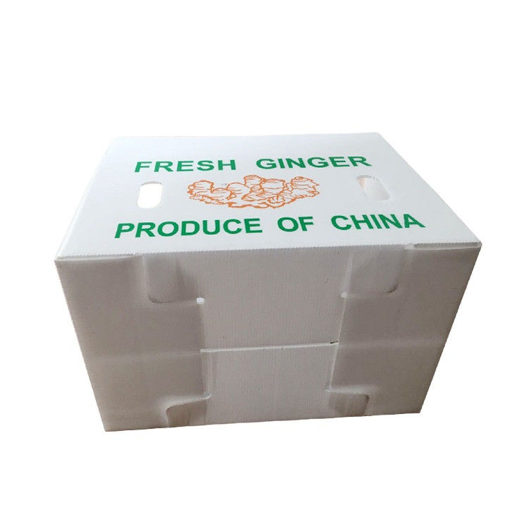 3.5mm Mango Corrugated Box Cartonplast صناديق مموجة لتغليف الفاكهة