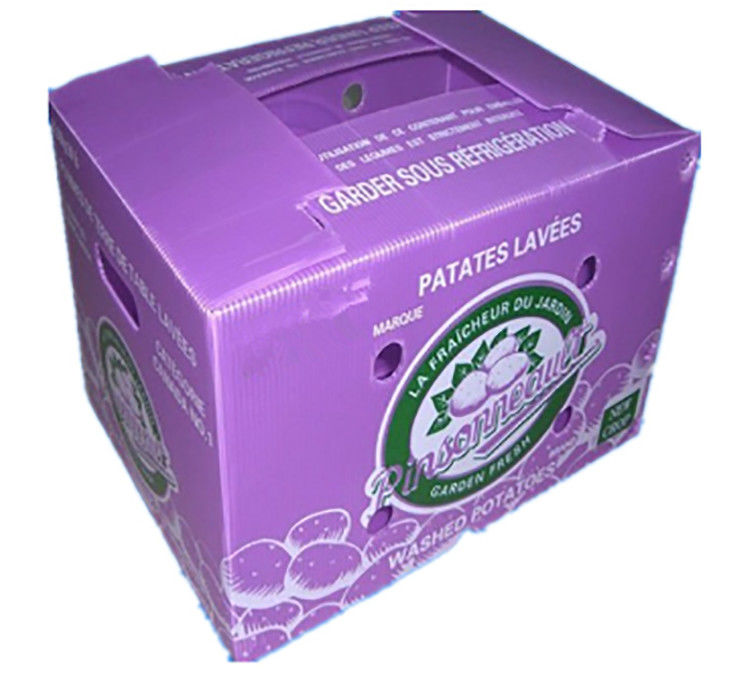 3.5mm Mango Corrugated Box Cartonplast صناديق مموجة لتغليف الفاكهة