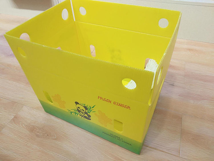 3.5mm Mango Corrugated Box Cartonplast صناديق مموجة لتغليف الفاكهة