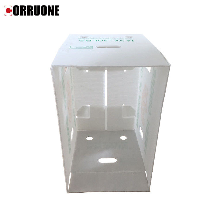 3.5mm Mango Corrugated Box Cartonplast صناديق مموجة لتغليف الفاكهة