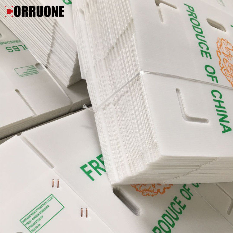 3.5mm Mango Corrugated Box Cartonplast صناديق مموجة لتغليف الفاكهة