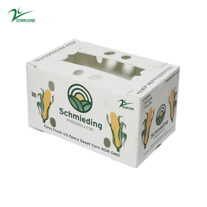 كورونيه PP كوركس الفاكهة المأكولات البحرية الخضروات الكرتون البلاستيك المموجات البلاستيك البولي بروبلين صناديق