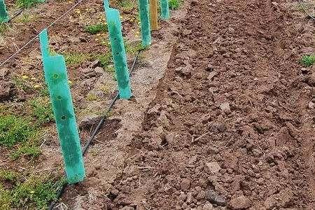 حراسة شجرة بلاستيكية ملوثة مصنوعة من مادة PP للحماية