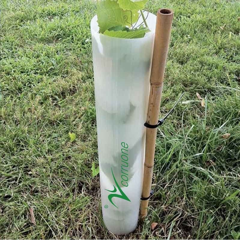 Corflute Plantra Tree Protectors PP المموج شجرة الحرس الأنابيب