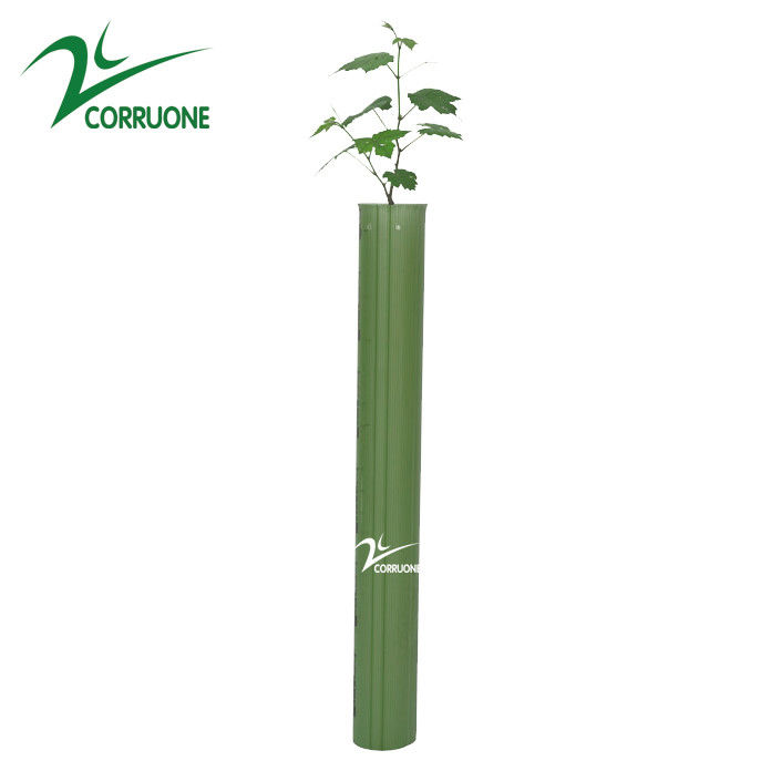 حراس الشجرة المموجة المعالجة بالأشعة فوق البنفسجية 3 مم PP Corflute Plant Guards