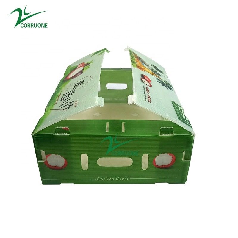 لوحات الكوروبلاست خفيفة الوزن سمكها 2 ملم 24 